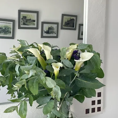 Casa Da Madrina Σπίτι διακοπών *