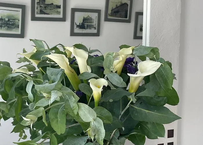 Casa Da Madrina Σπίτι διακοπών *